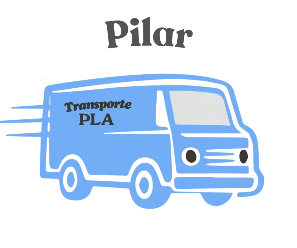 fletes y mudanzas en pilar