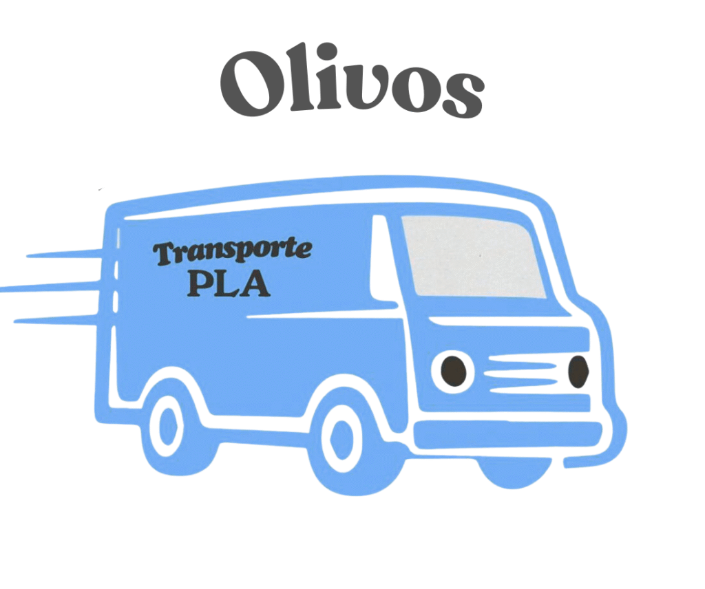 fletes y mudanzas en olivos